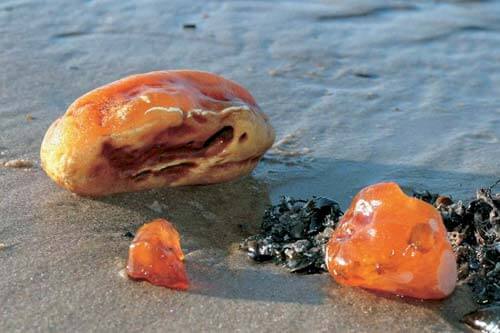 Bernstein auf Romo Strand Dänemark