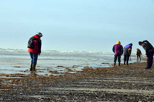 Bernstein in Dänemark finden - Romo Nordsee