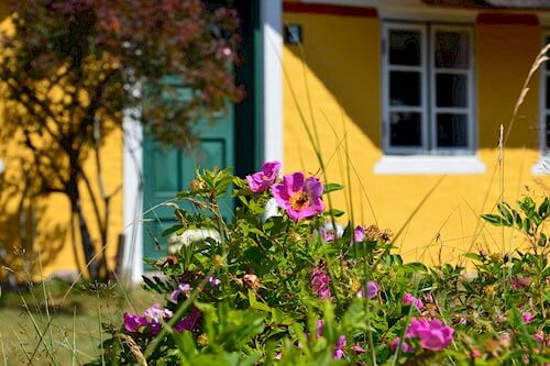 Ferienhaus Fanö - Danibo