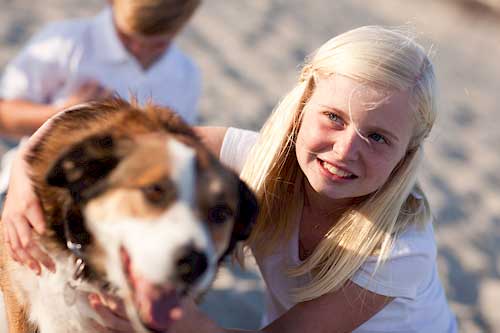 Römö Ferienhaus mit Hund - 600 Ferienhäuser, in denen Hunde willkommen sind