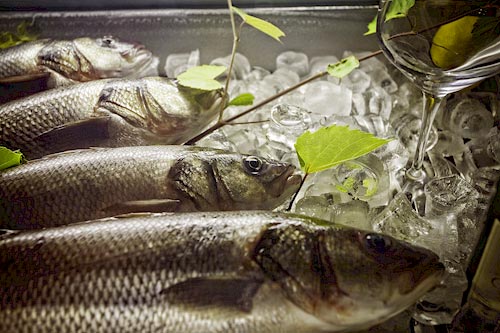 Fisch und Restaurants auf Römö - Fischrestaurants