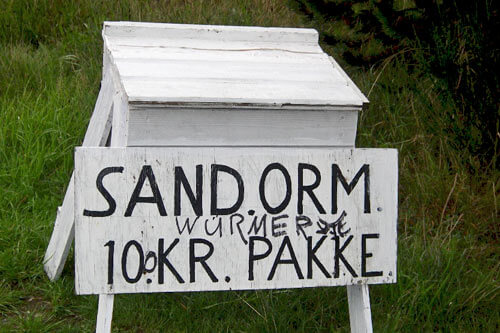 Römö angeln