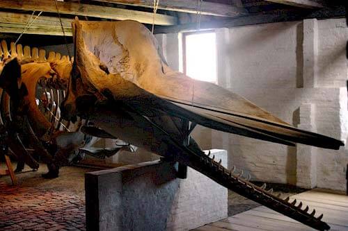 9 Römï Museen in Fahrabstand - Kommandörgaarden