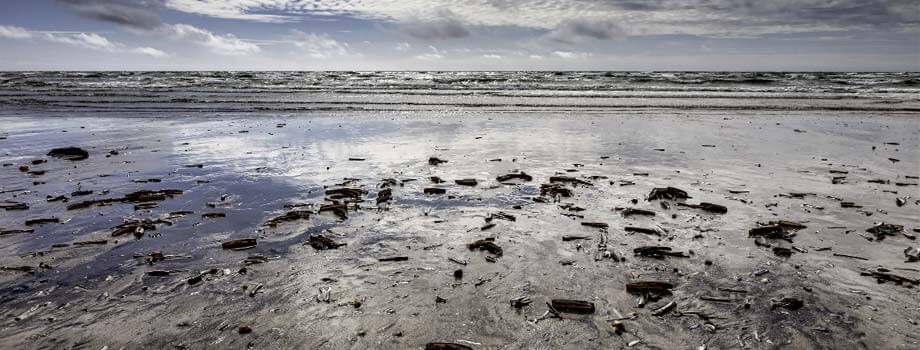 Wattenmeer Dänemark
