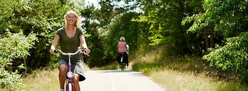 Fahrradverleih, reiten, angeln, strandsegeln, kitebuggy, wellenreiten & surfen auf Romo Dänemark