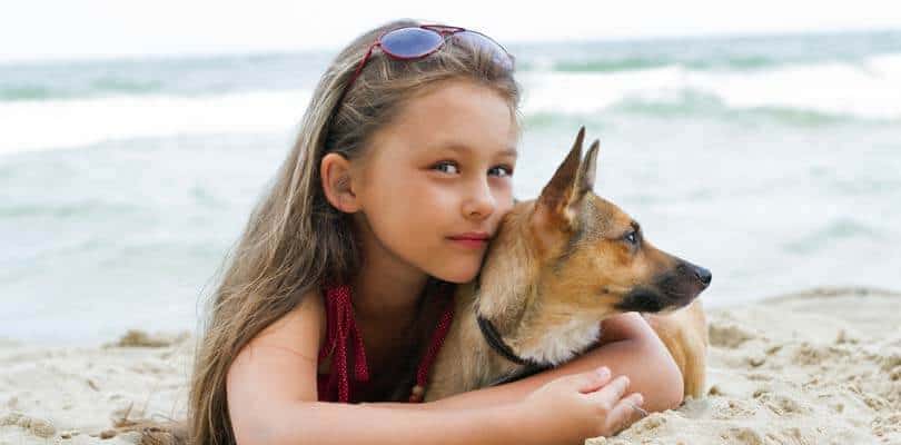 Ferienhaus mit Hund in Dänemark und Römö