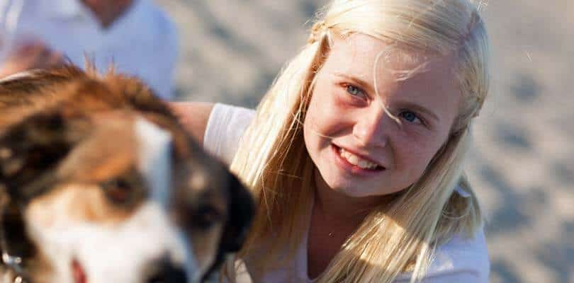 Urlaub mit Hund in Dänemark - Einreise Bestimmungen
